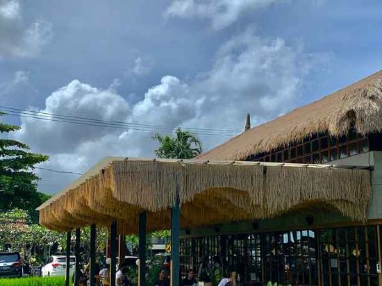 Фото Alaya Resort Ubud