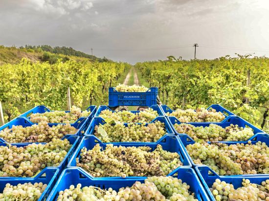 Фото Hotel Villa Schuler