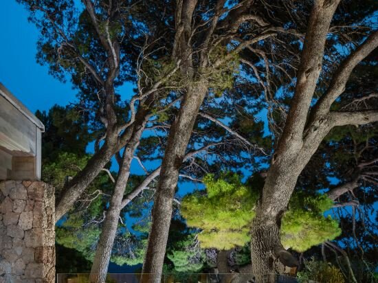 Фото Bluesun Hotel Soline