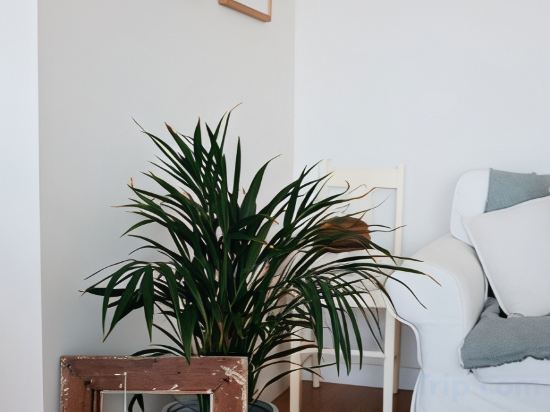 Фото Nomad Hub Canggu-Bali