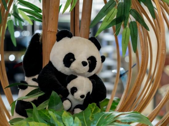 Фото Chengdu Tianfu Sunshine