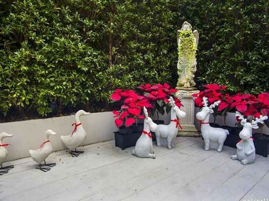 Фото Vali Villa Bangkok