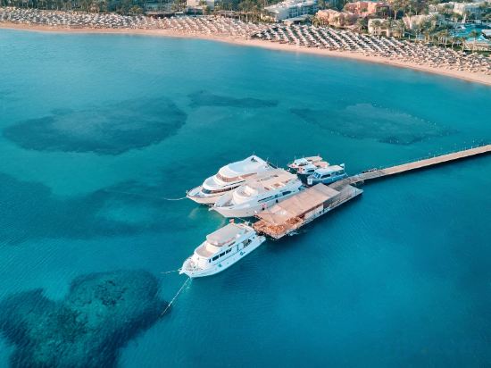 Фото Джаз Макадина