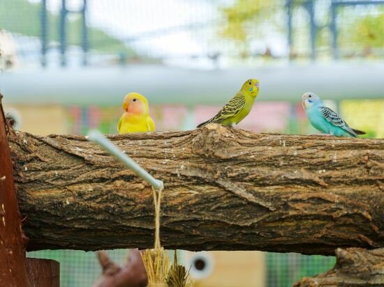 Фото Grand New Century Hotel Xuzhou