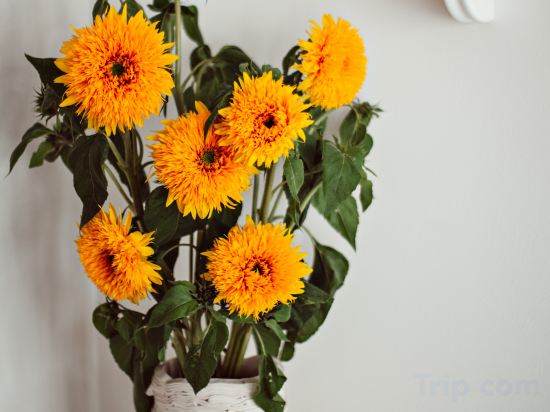 Фото Hôtel des Académies et des Arts