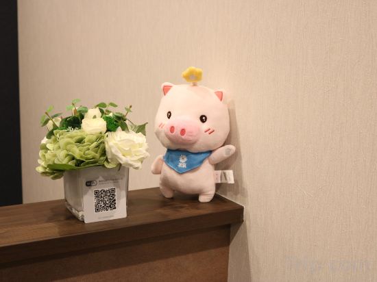 Фото Floral Hotel Sakaisujihonmachi Osaka