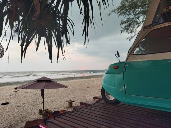 Фото Ziggy Stardust