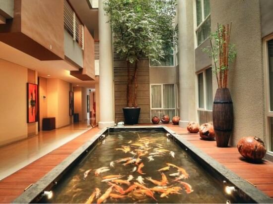 Фото Avissa Suites