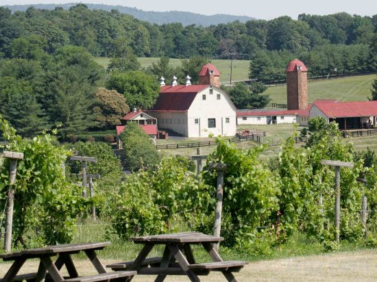 Фото Residence Inn by Marriott Dulles Airport At Dulles 28 Centre