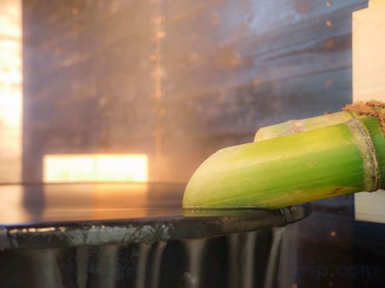 Фото Kawamoto villa 3466