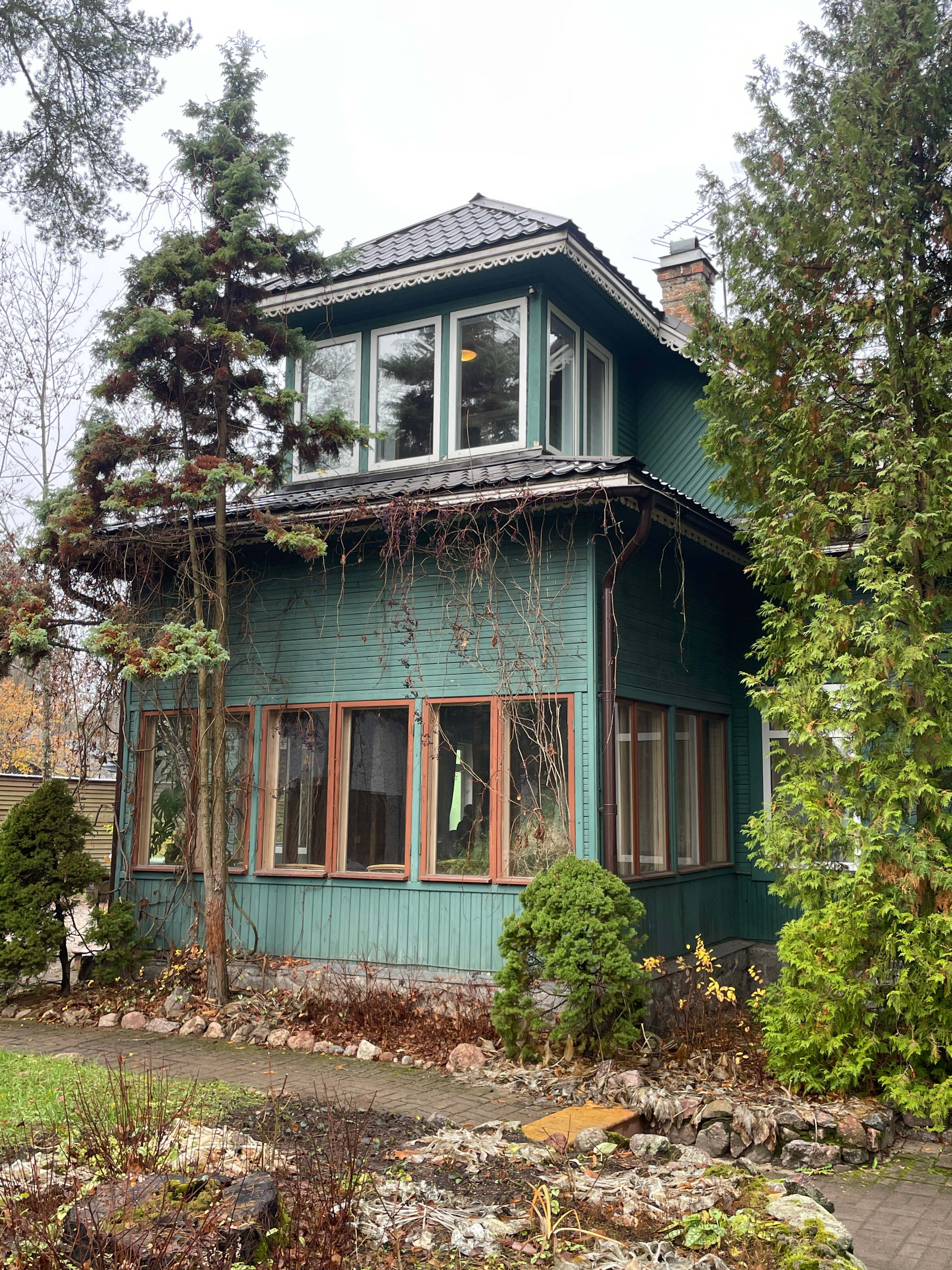 Фото Forest Relax