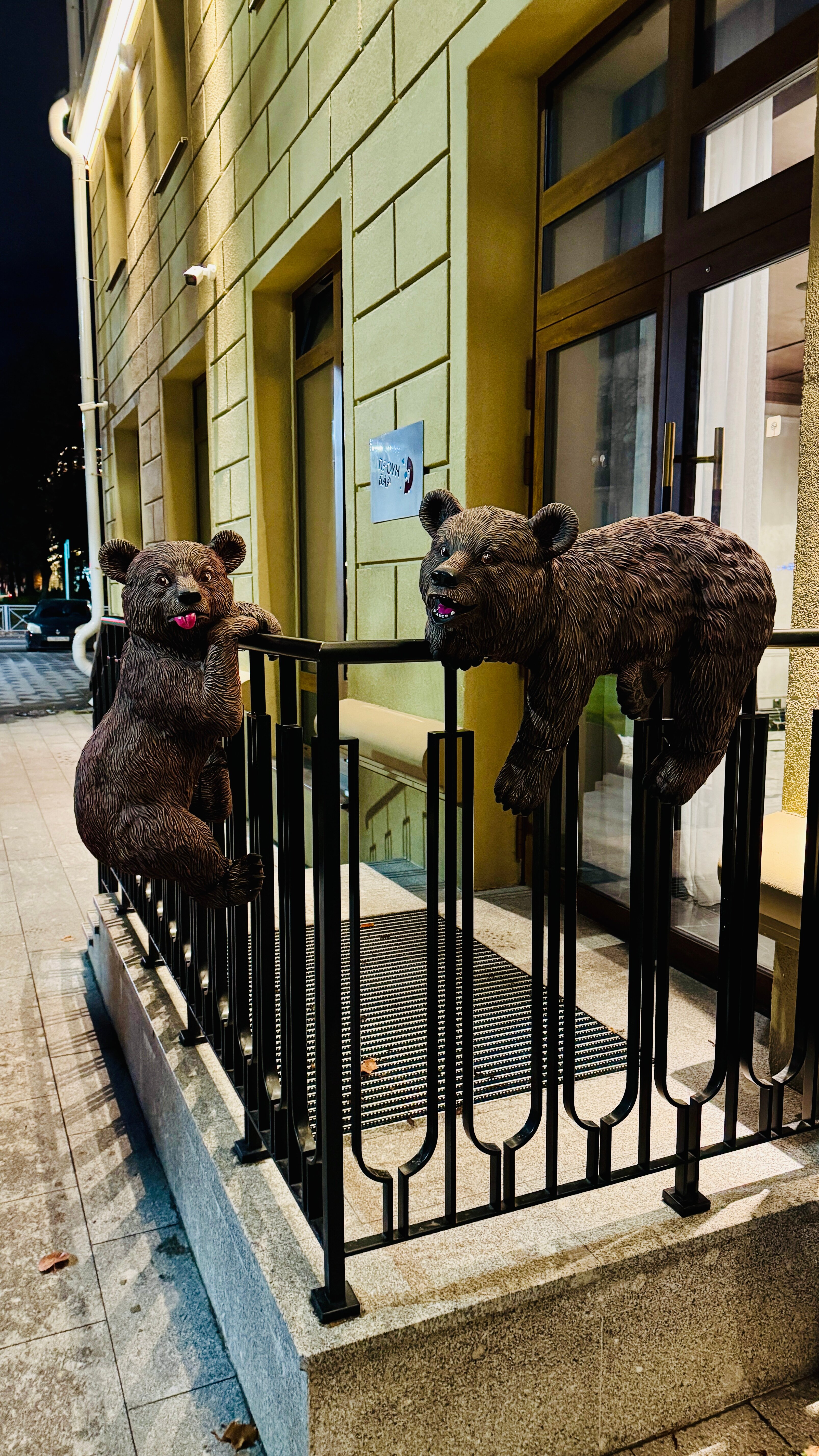 Фото Acron Hotel Veliky Novgorod, a member of Radisson Individuals