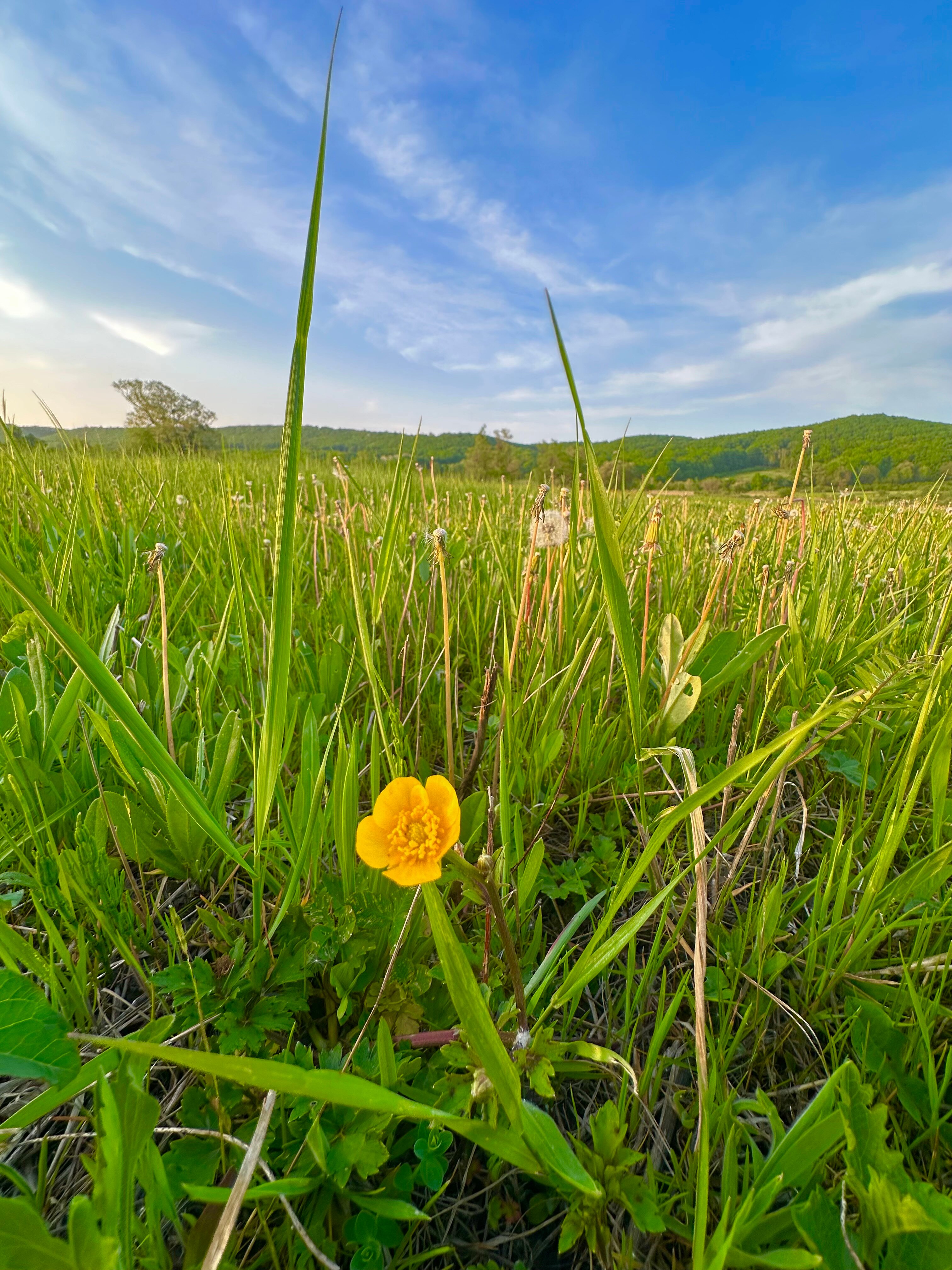 Фото Alisa Aframe