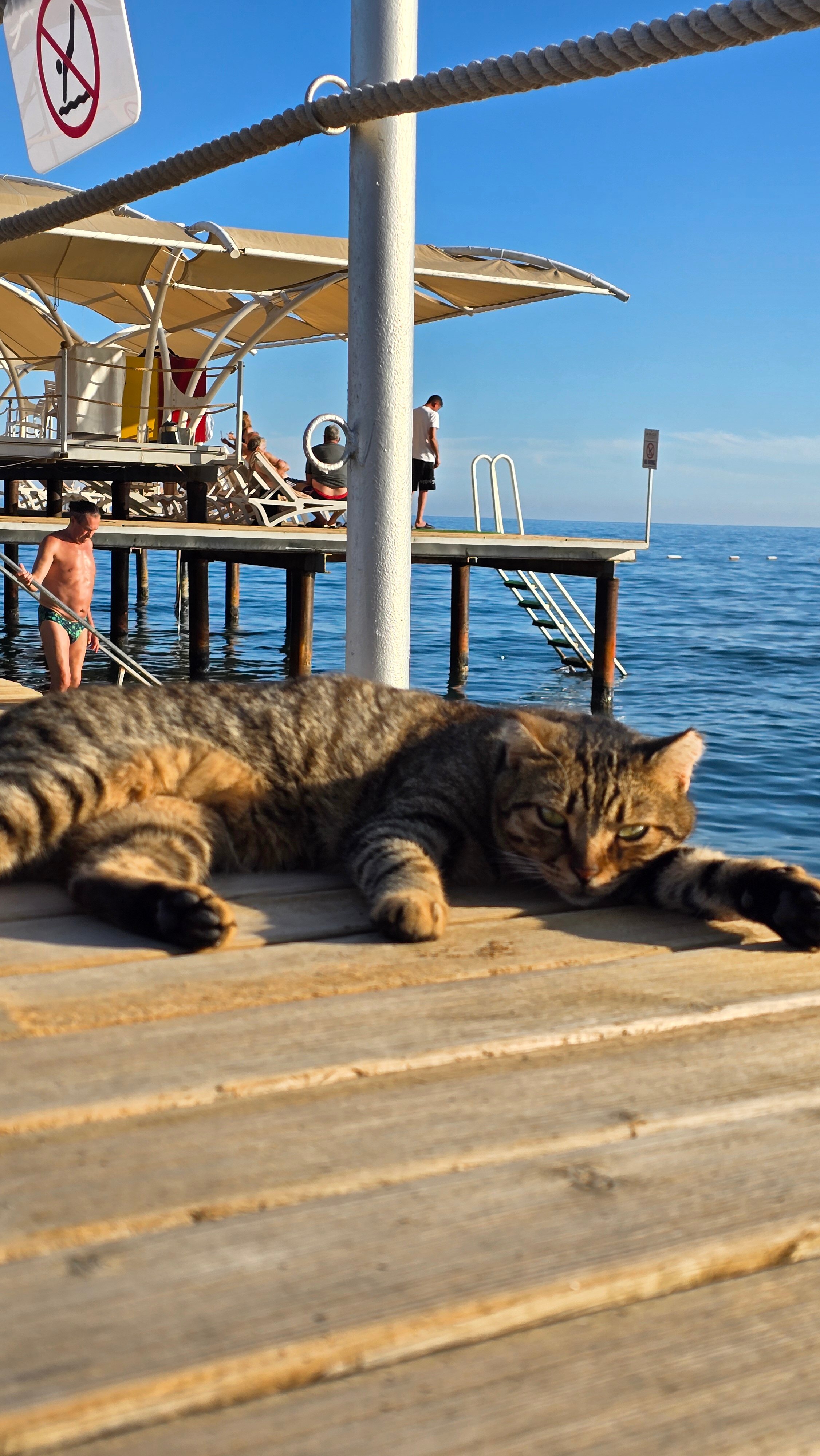 Фото Mirada Del Mar Kemer
