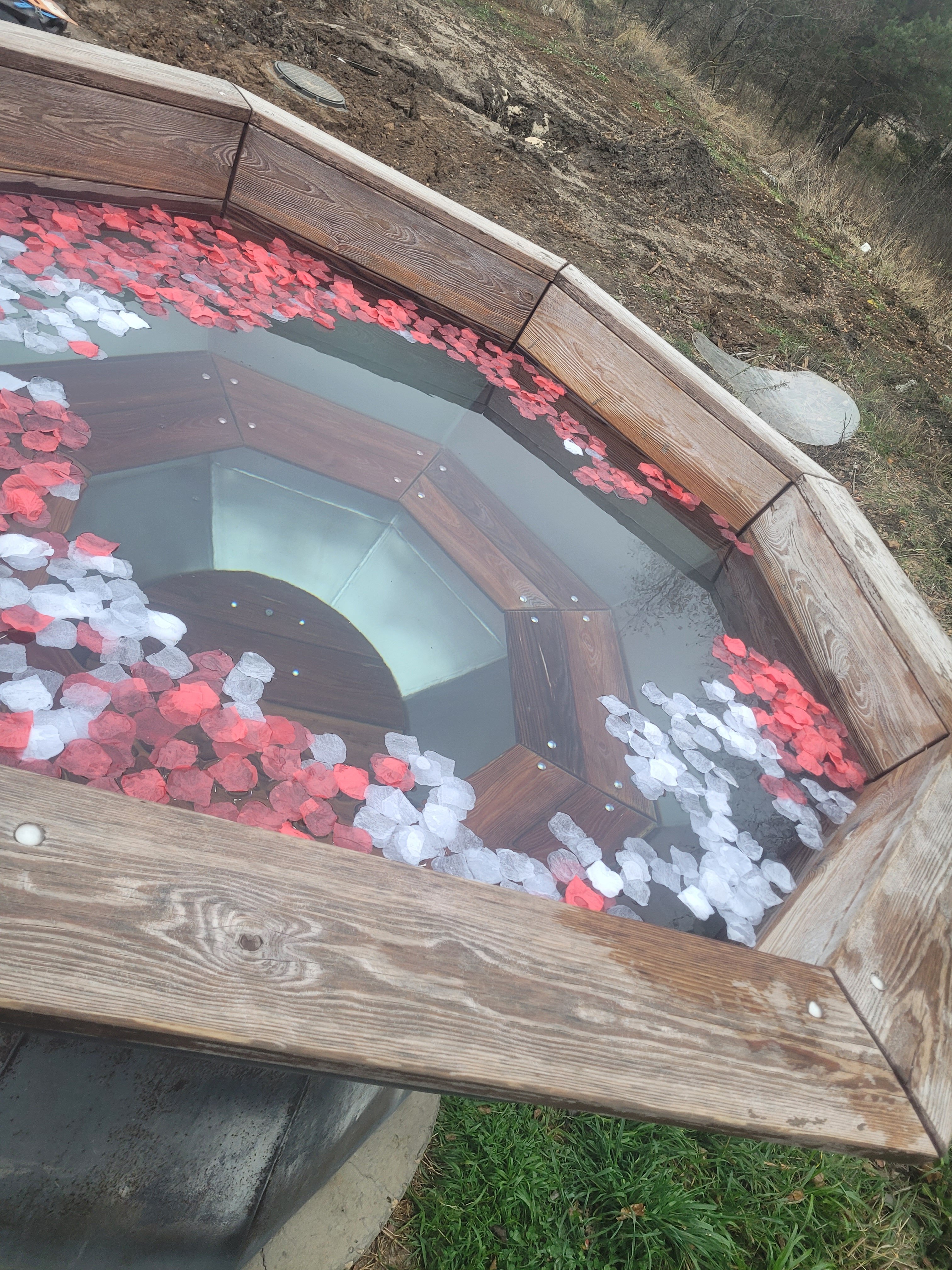 Фото Forest chan