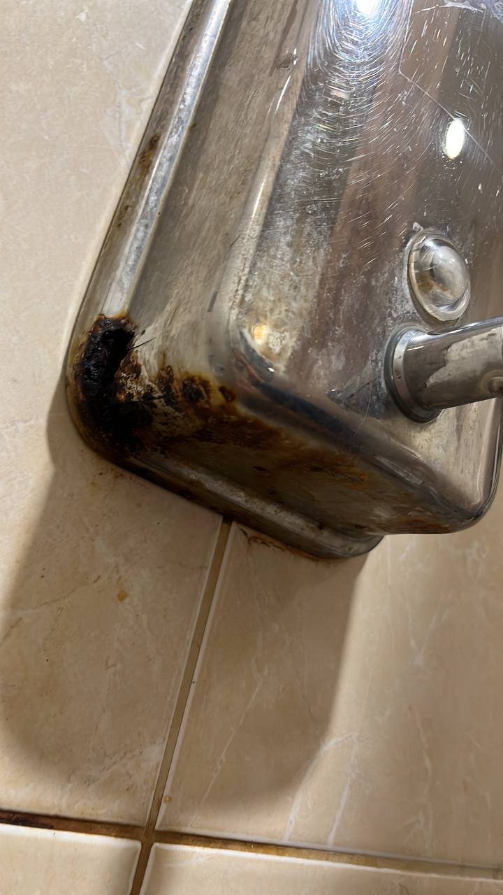 Фото Пеликан