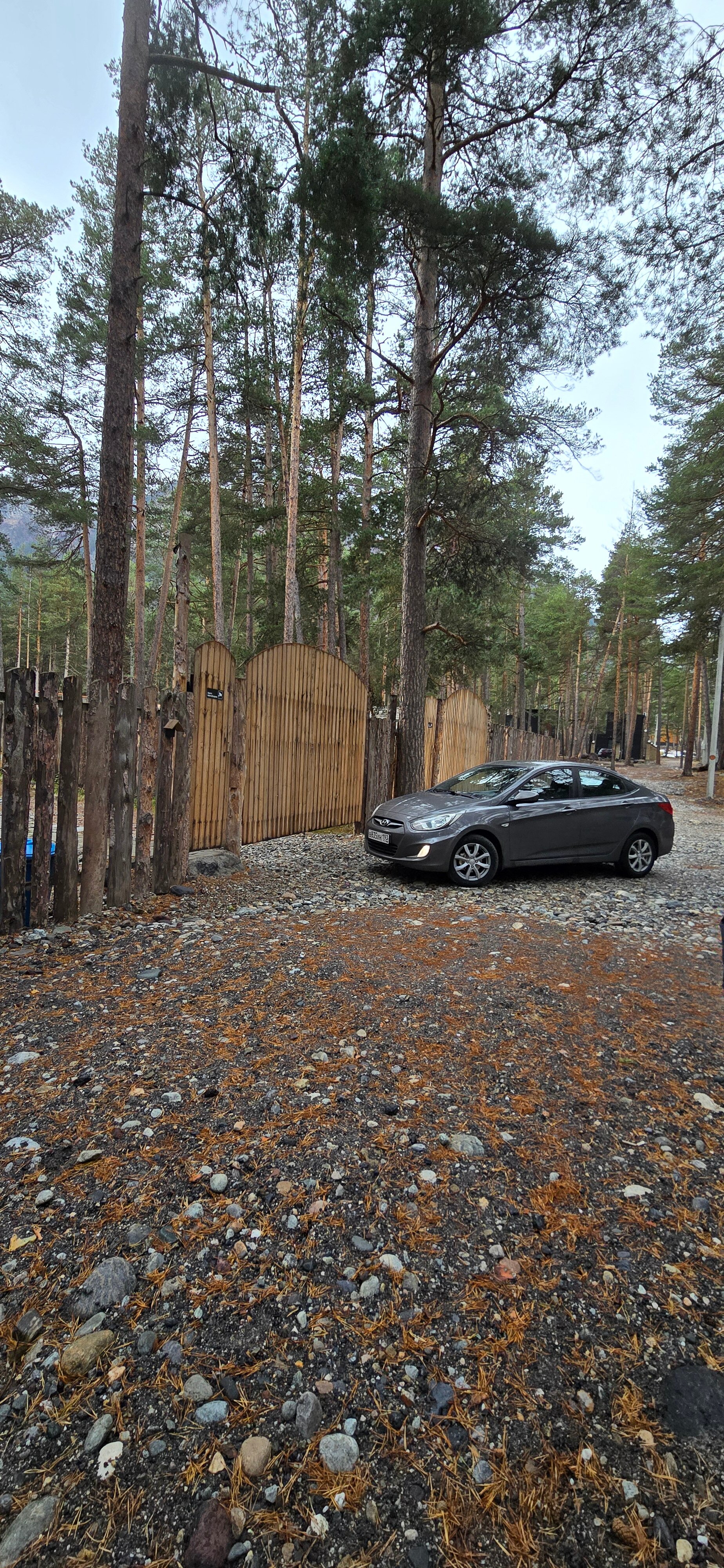 Фото Эльпик