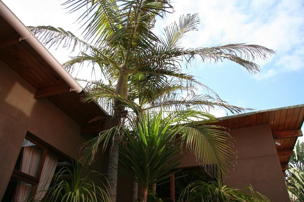 Фото Dunedin Star Guesthouse