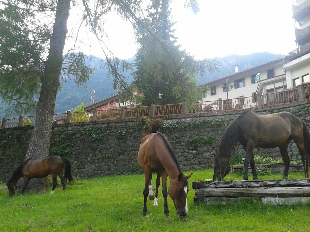 Фото Bella Italia & Efa Village