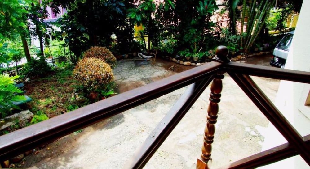 Фото Tree Breeze Inn