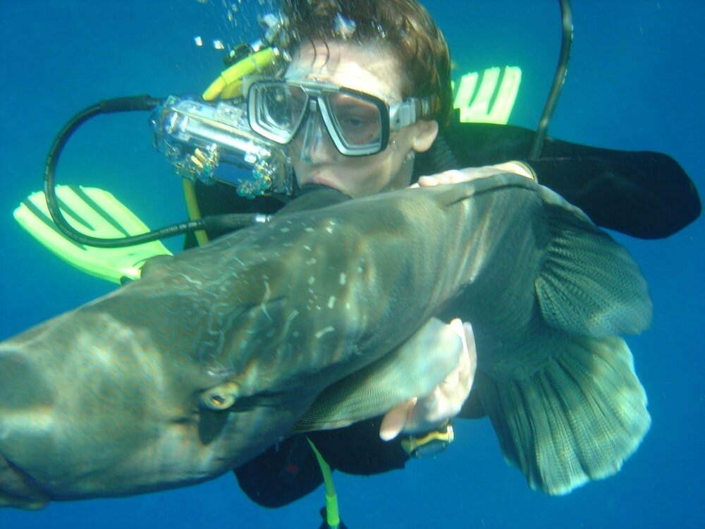 Фото Southern Star Club