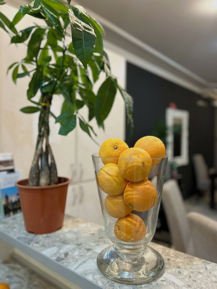 Фото Hotel Bojatours