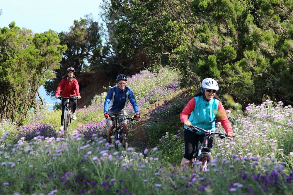 Фото Hotel Jardín Tecina