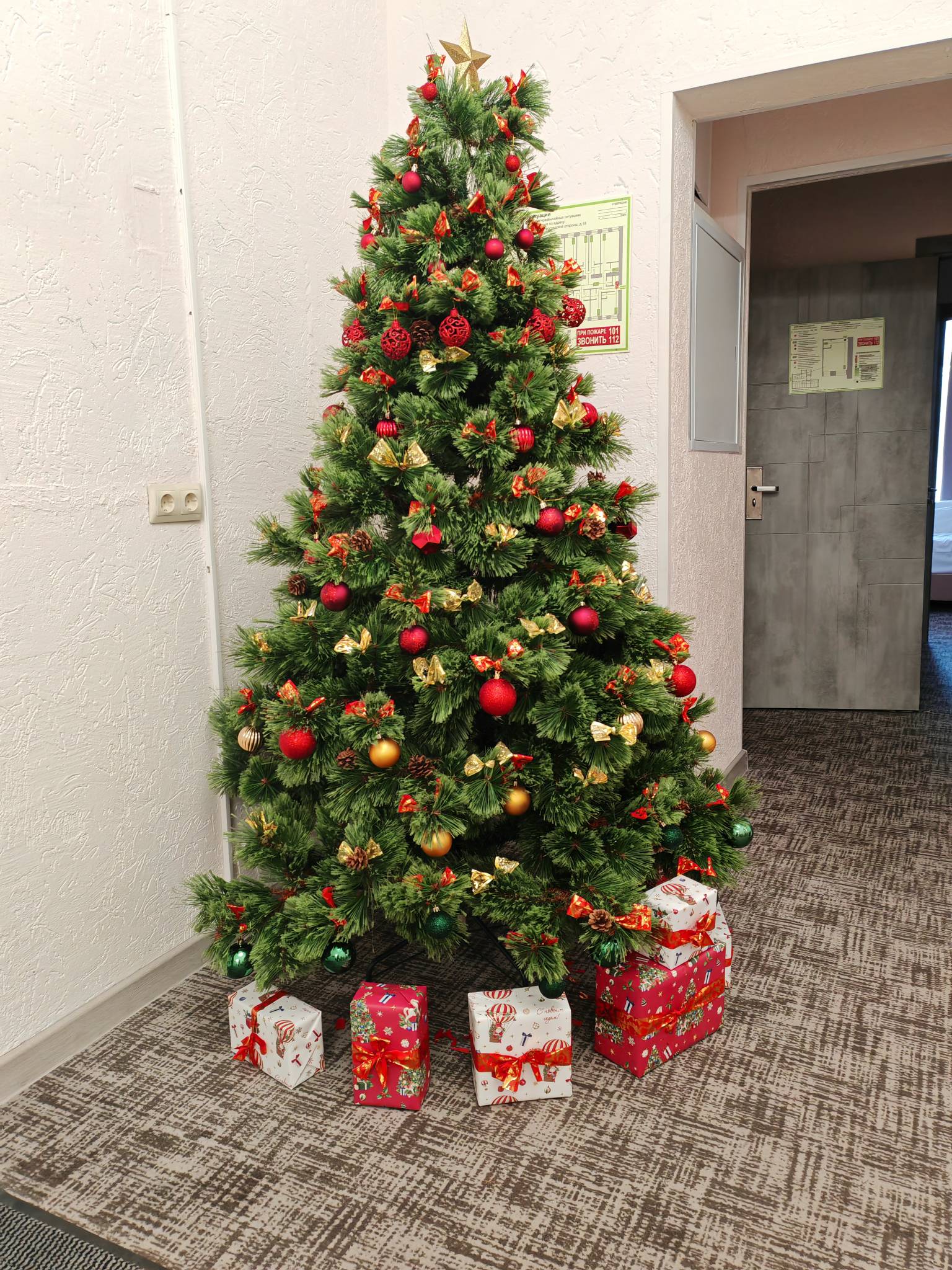 Фото Виктория