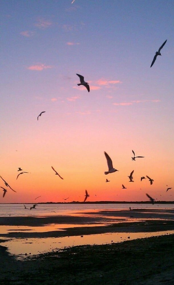 Фото Hotel Tybee