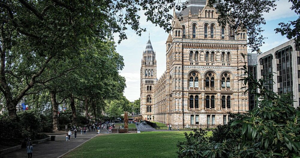 Фото The Kensington