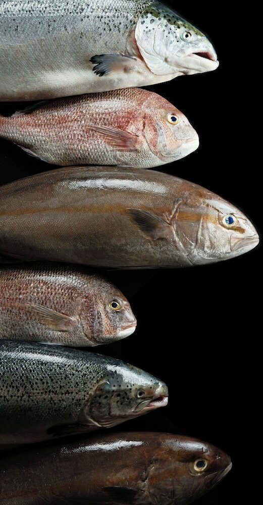 Фото Jw Marriott Hotel Beijing