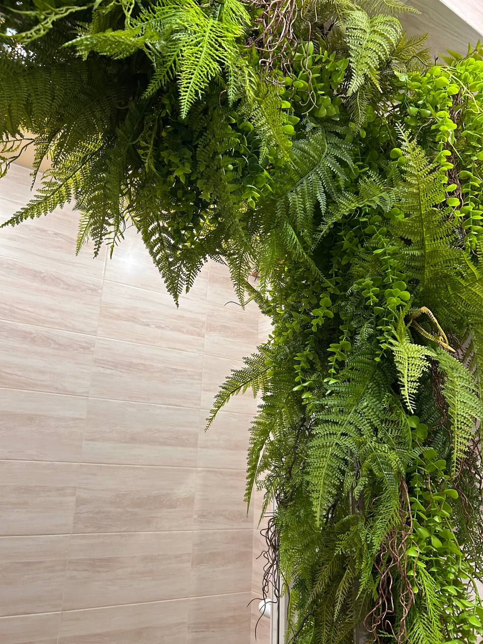 Фото Саратовская