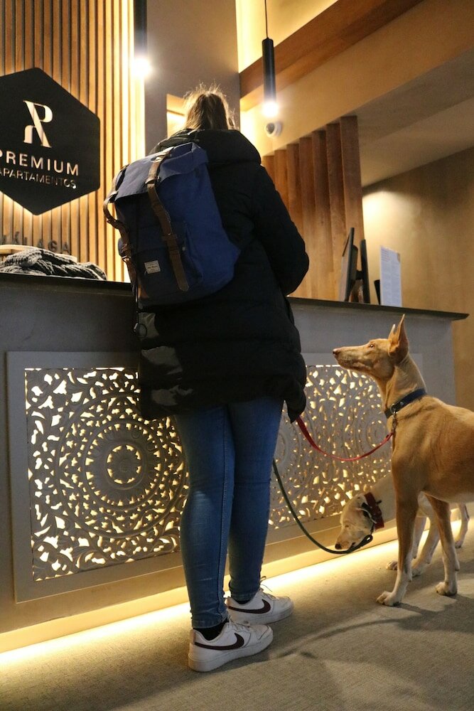 Фото Oasis Backpackers Hostel Malaga