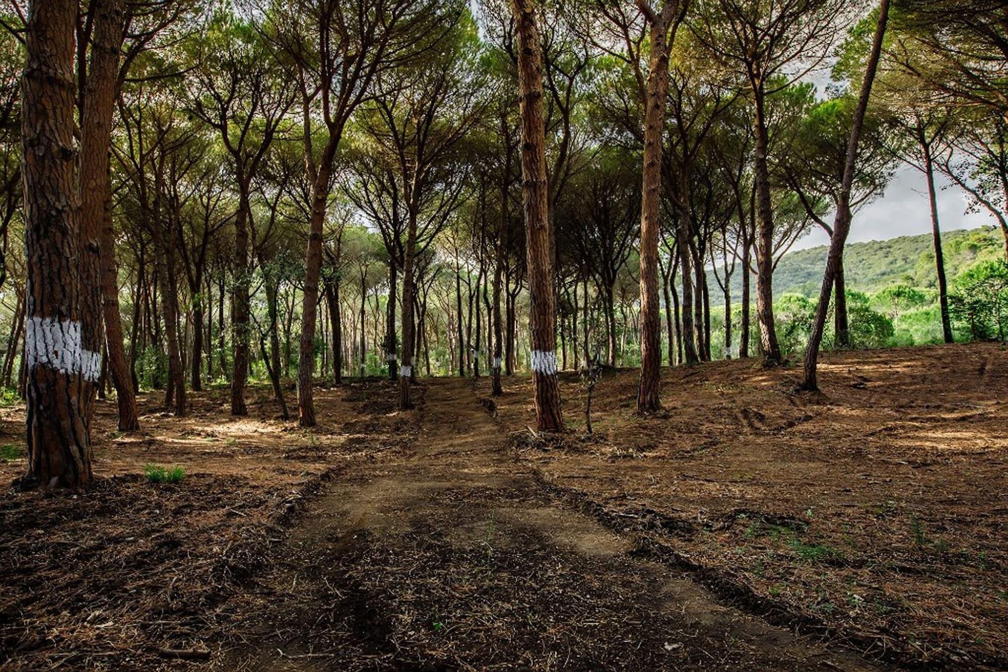 Фото Riva del Sole Resort & SPA