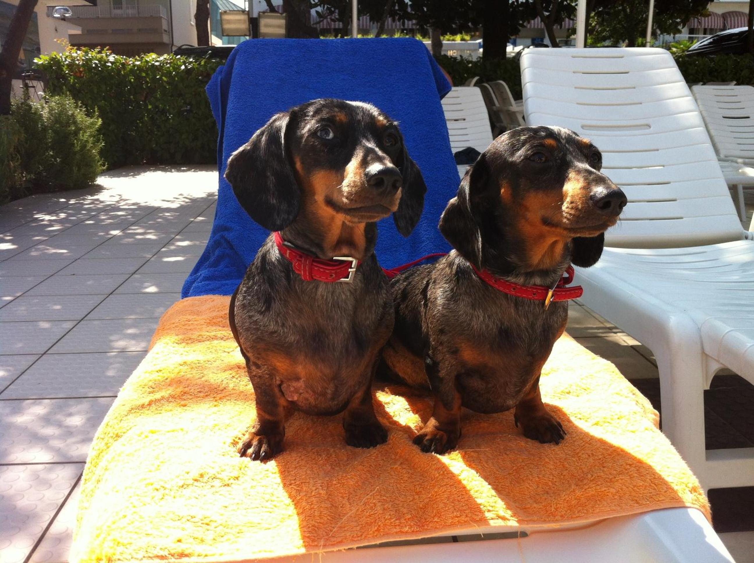 Фото Park Hotel Miriam