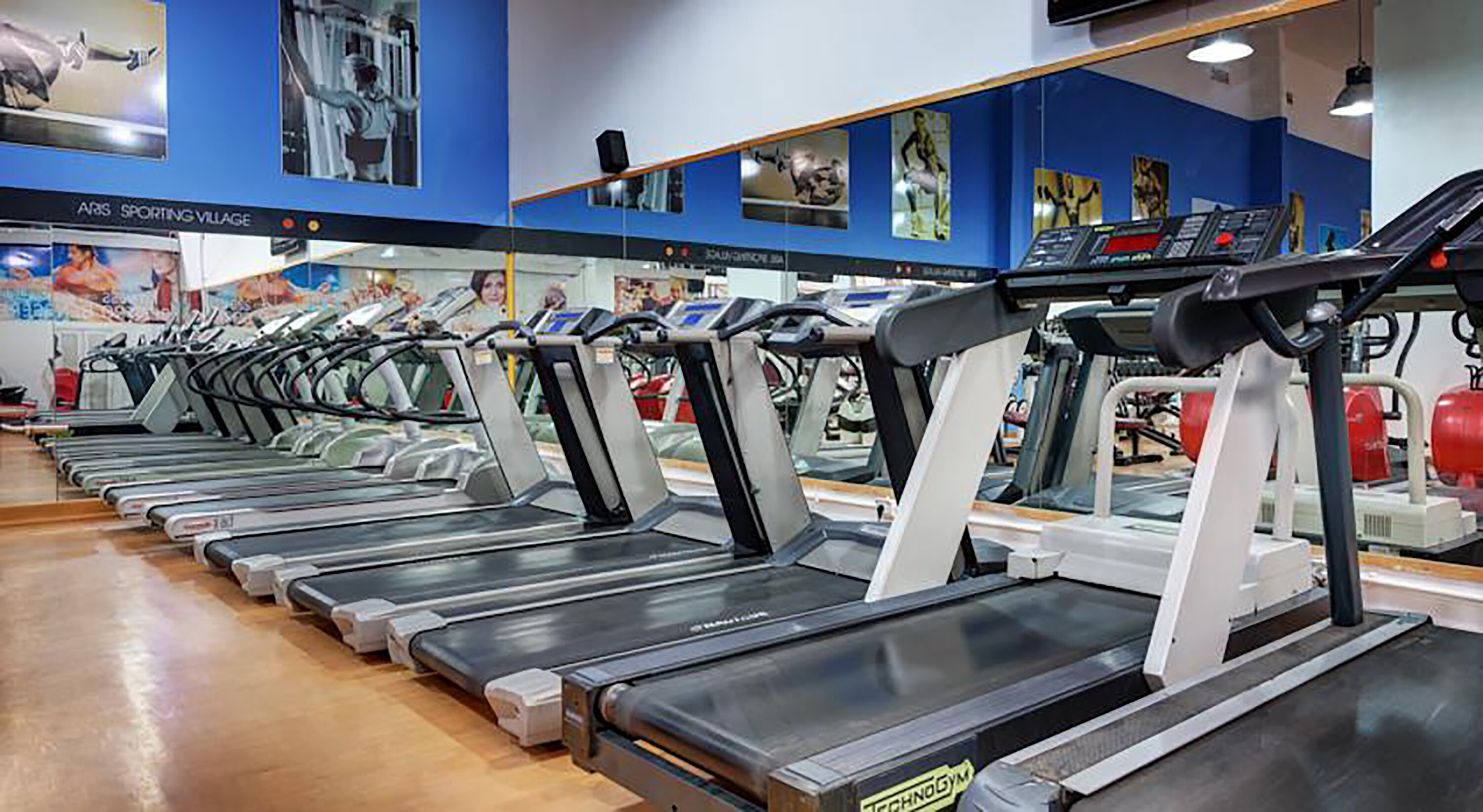 Фото Hotel Aris Garden