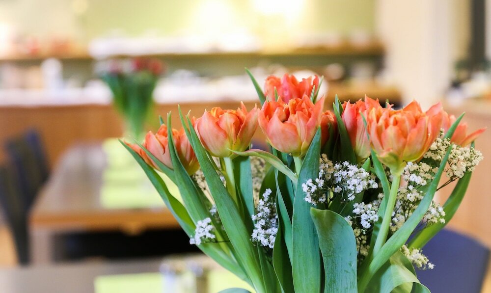 Фото Hotel Tornet