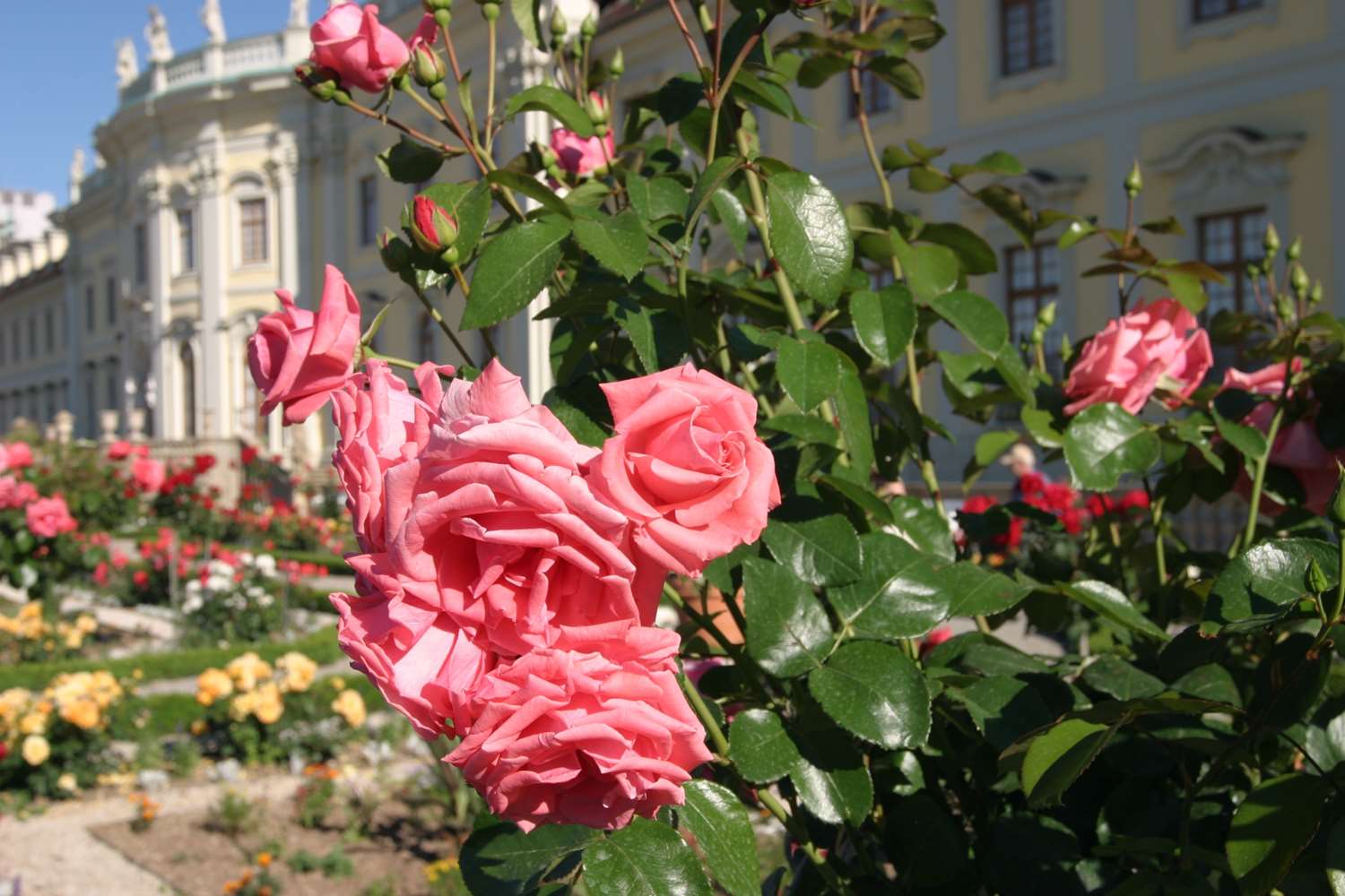 Фото отеля 4