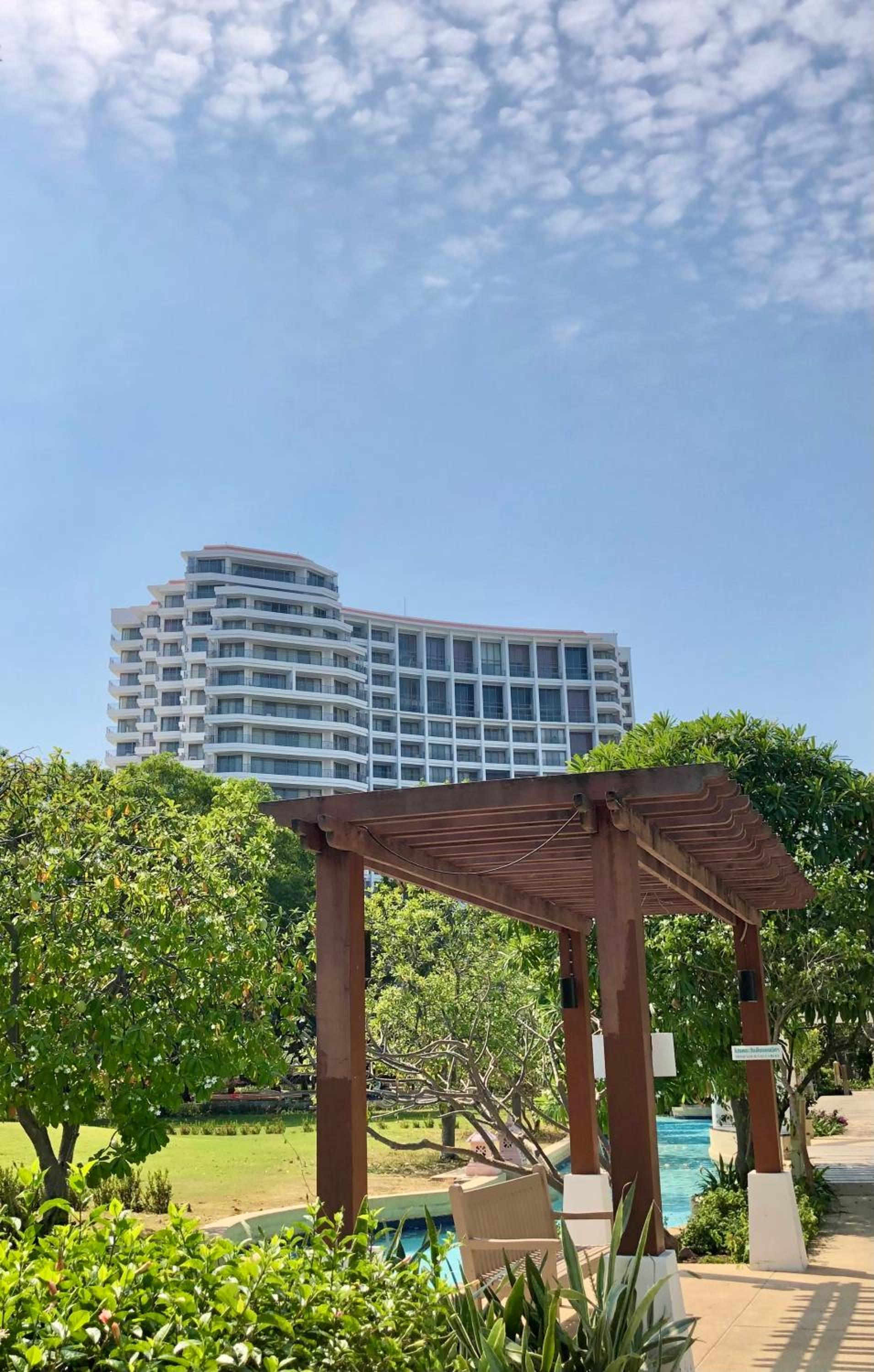 Фото 50624295898