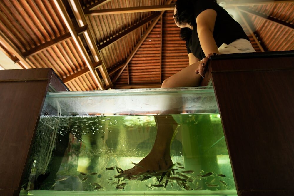 Фото Borsaen Villa