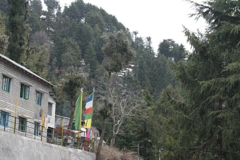 Фото Grace Mount