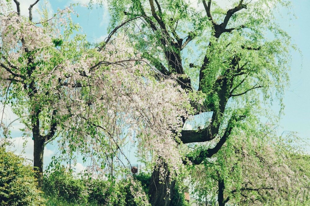 Фото Len Kyoto Kawaramachi