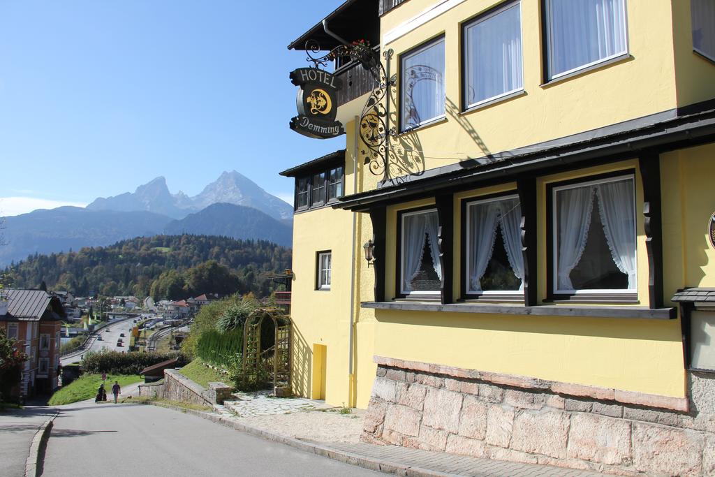 Фото Hotel Alpina Ros Demming