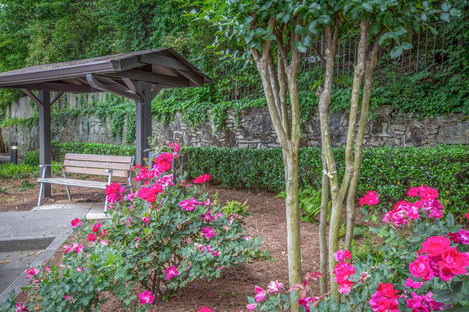 Фото Quality Suites Atlanta Buckhead Village North