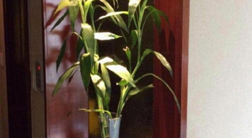 Фото Jinrong International Hotel