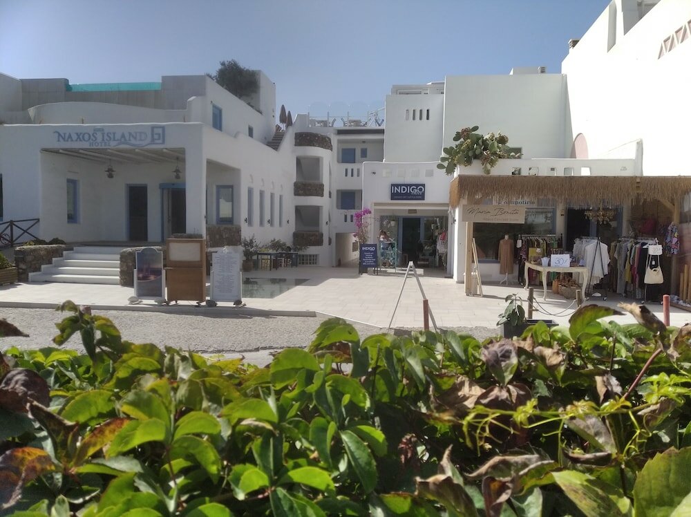 Фото Naxos Island Hotel