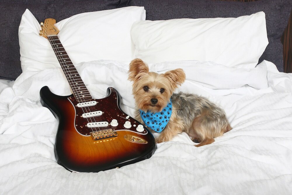 Фото Seminole Hard Rock Hotel and Casino