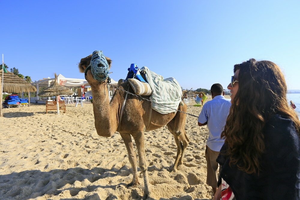Фото Caribbean World Hammamet Garden