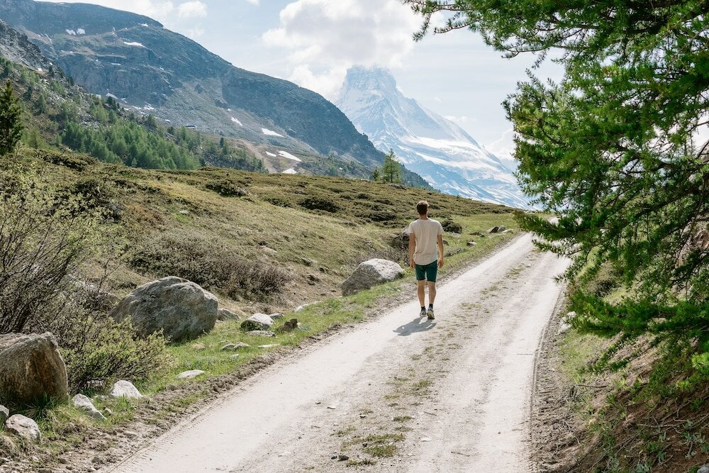 Фото Hotel Albana Real