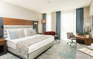 Гостиница Dedeman Cizre